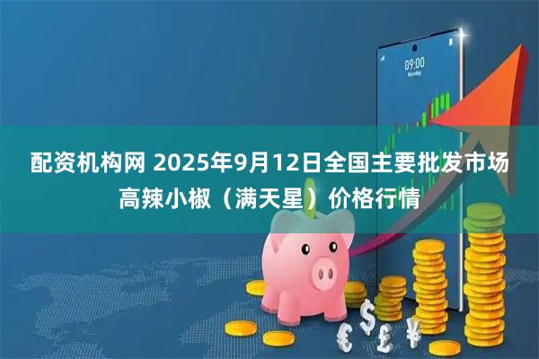 配资机构网 2025年9月12日全国主要批发市场高辣小椒（满天星）价格行情